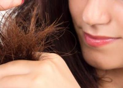 7 درمان خانگی برای موهای آسیب دیده