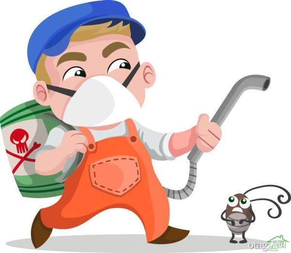 راه های ورود حشرات موذی به منازل راه های ورود حشرات موذی به منازل