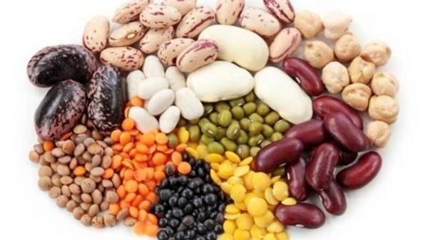 خوراکی های ضد آلزایمر کدامند؟ خوراکی های ضد آلزایمر کدامند؟