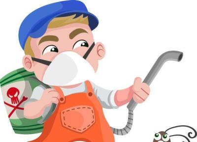 راه های ورود حشرات موذی به منازل