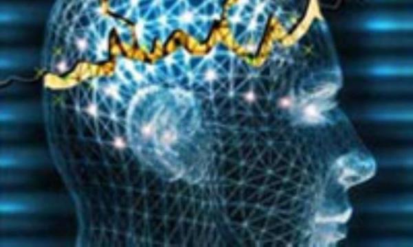 اختلال خواب حافظه را مختل می کند اختلال خواب حافظه را مختل می نماید
