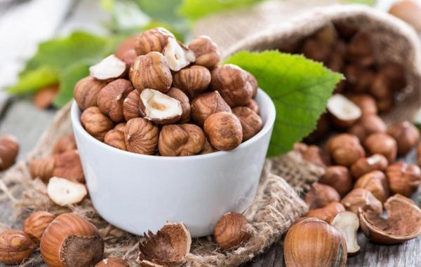 6 خاصیت بی نظیر فندق برای سلامت بدن 6 خاصیت بی نظیر فندق برای سلامت بدن