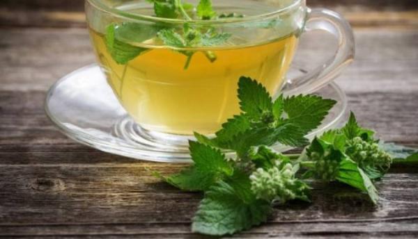9 دلیل قانع کننده برای مصرف دمنوش بادرنجبویه 9 دلیل قانع کننده برای مصرف دمنوش بادرنجبویه