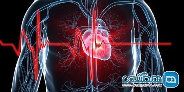 اسپاسم قلبی می تواند منجر به مرگ شود؟ اسپاسم قلبی می تواند منجر به مرگ شود؟