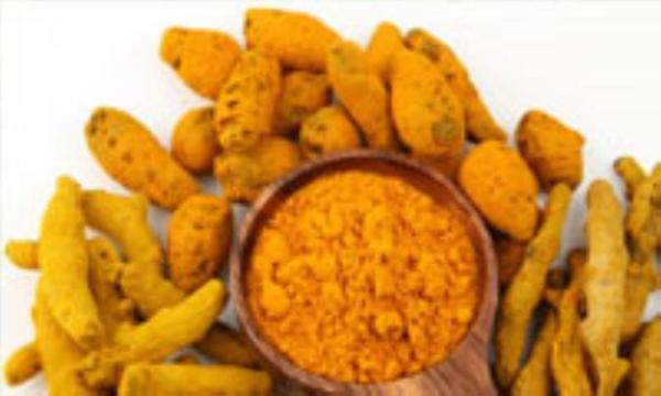 خواص دارویی گیاه زردچوبه خواص دارویی گیاه زردچوبه