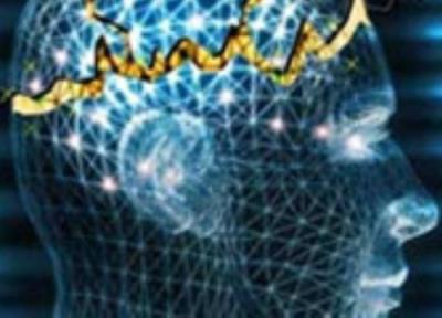 اختلال خواب حافظه را مختل می نماید