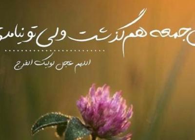 ای منتقم کوچه و گودال کجایی؟!