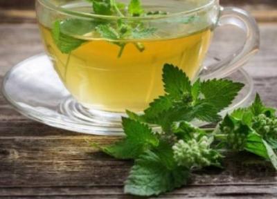 9 دلیل قانع کننده برای مصرف دمنوش بادرنجبویه