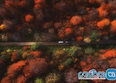 جنگل های هیرکانی فسیل زنده منحصر به فرد دنیا هستند