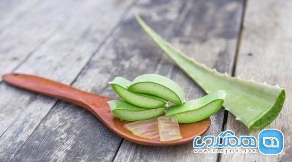 مصرف ناشتای این مواد غذایی لاغرتان می کند مصرف ناشتای این مواد غذایی لاغرتان می کند
