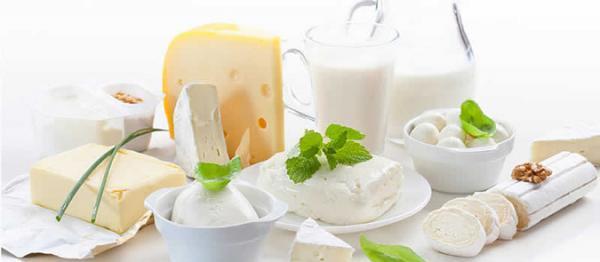 مواد غذایی کلسیم دار مناسب رژیم های لاغری کم کالری مواد غذایی کلسیم دار مناسب رژیم های لاغری کم کالری