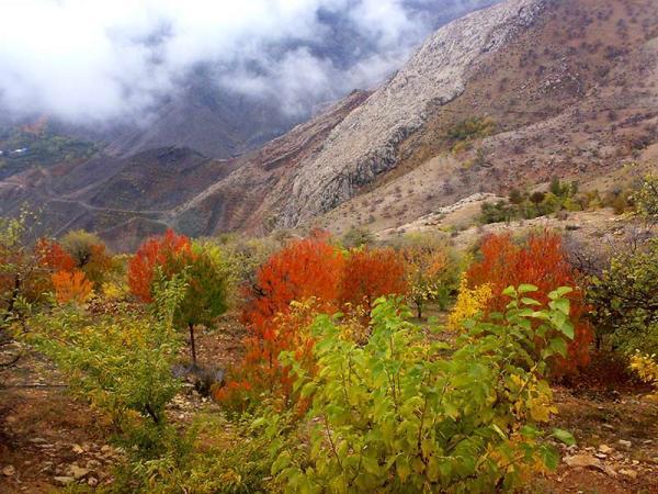 6 گزینه برای سفری یک روزه اطراف تهران 6 گزینه برای سفری یک روزه اطراف تهران