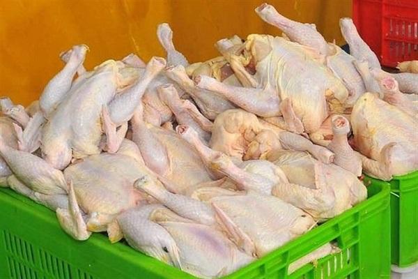 قیمت مصوب مرغ 24 هزار و 900 تومان شد