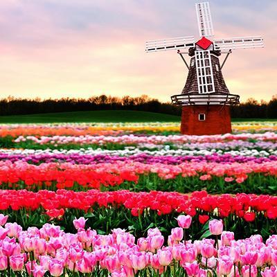 معرفی جشنواره های تابستانی در ایران و کشورهای جهان معرفی جشنواره های تابستانی در ایران و کشورهای جهان