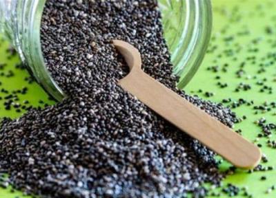 درباره مزایا و عوارض تخم شربتی بیشتر بدانید