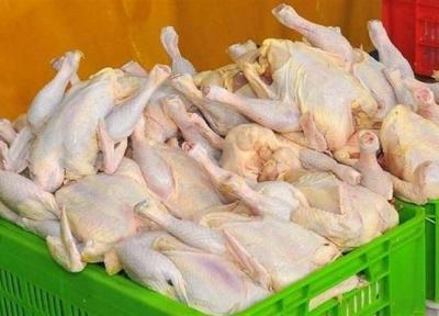 قیمت مصوب مرغ 24 هزار و 900 تومان شد