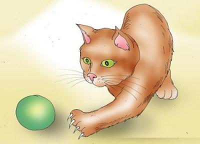 معرفی 11 وسیله برای بازی گربه خانگی