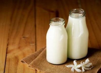 شیر ماده غذایی فراسودمندی است