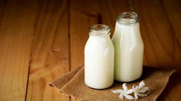 شیر ماده غذایی فراسودمندی است شیر ماده غذایی فراسودمندی است