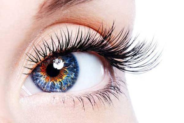 تقویت بینایی؛ برای تقویت چشم چه بخوریم؟ تقویت بینایی؛ برای تقویت چشم چه بخوریم؟