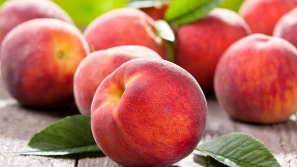 این میوه های خوش آب و رنگ ولی سمی را بشناسید این میوه های خوش آب و رنگ ولی سمی را بشناسید
