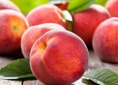 این میوه های خوش آب و رنگ ولی سمی را بشناسید