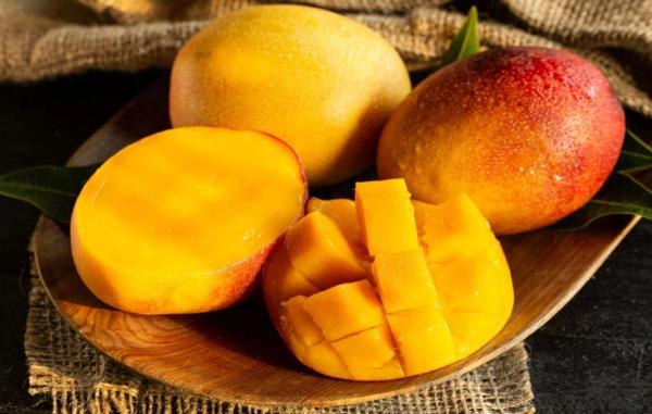 تعبیر خواب انبه - دیدن انبه در خواب چه تعبیری دارد؟ تعبیر خواب انبه - دیدن انبه در خواب چه تعبیری دارد؟