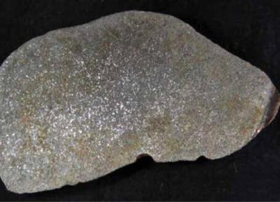 گنج بسیار کمیابی که خیلی اتفاقی پیدا شد