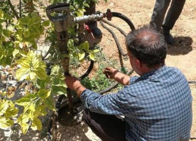 کوددهی درختان به روش تزریق در خاک