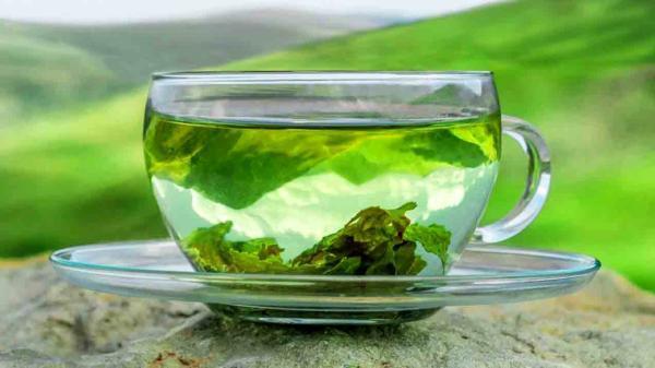 خواص چای سبز برای کبد خواص چای سبز برای کبد
