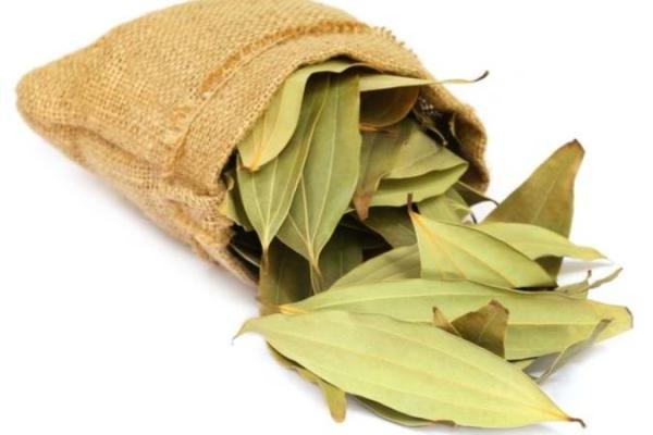 آبابرگ سنا برای یبوست مفید است؟