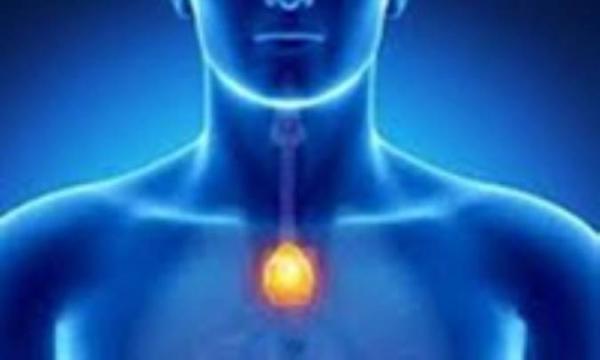 عملکردهای حیاتی غده تیموس عملکردهای حیاتی غده تیموس