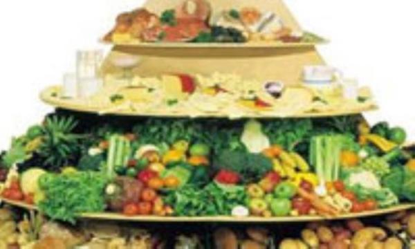 سه پایه تغذیه سالم سه پایه تغذیه سالم