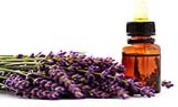 فوائد روغن اسطوخودوس فوائد روغن اسطوخودوس
