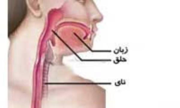 در مری چه خبر است؟ در مری چه خبر است؟