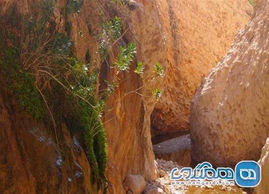 تنگ هیخ یکی از جاذبه های طبیعی استان بوشهر است تنگ هیخ یکی از جاذبه های طبیعی استان بوشهر است