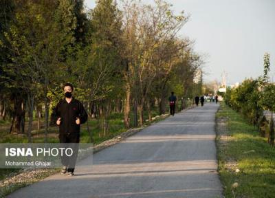 افزایش 30 درصدی طول عمر با 7 دقیقه پیاده روی سریع روزانه