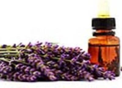 فوائد روغن اسطوخودوس