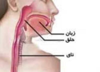 در مری چه خبر است؟