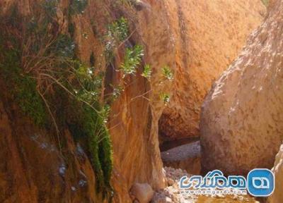 تنگ هیخ یکی از جاذبه های طبیعی استان بوشهر است