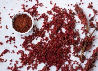 خواص سماق و ارزش غذایی این ادویه