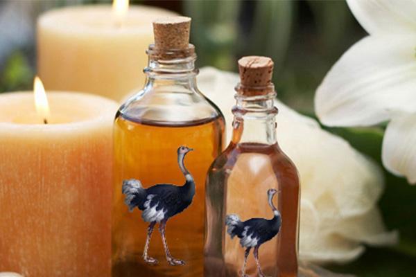 خواص روغن شترمرغ چیست؟