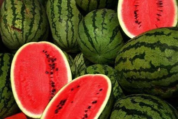 استحکام استخوان ها با دانه های هندوانه استحکام استخوان ها با دانه های هندوانه