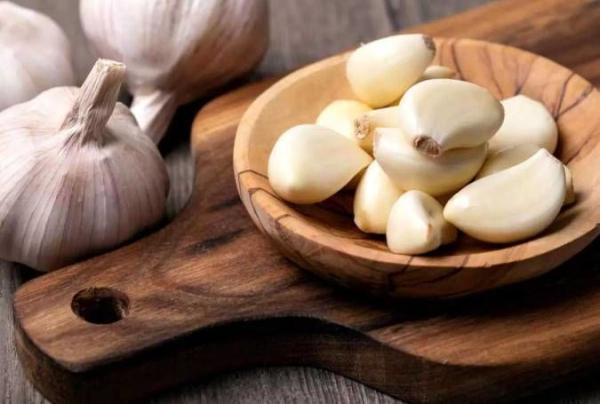 گیاه بد بو درمان عفونت های بدن و سرفه است گیاه بد بو درمان عفونت های بدن و سرفه است